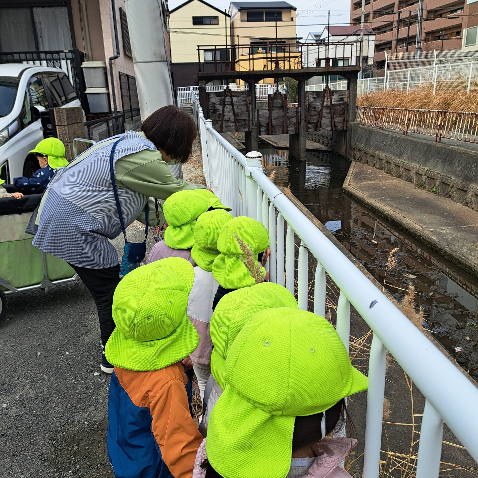 保護中: お散歩