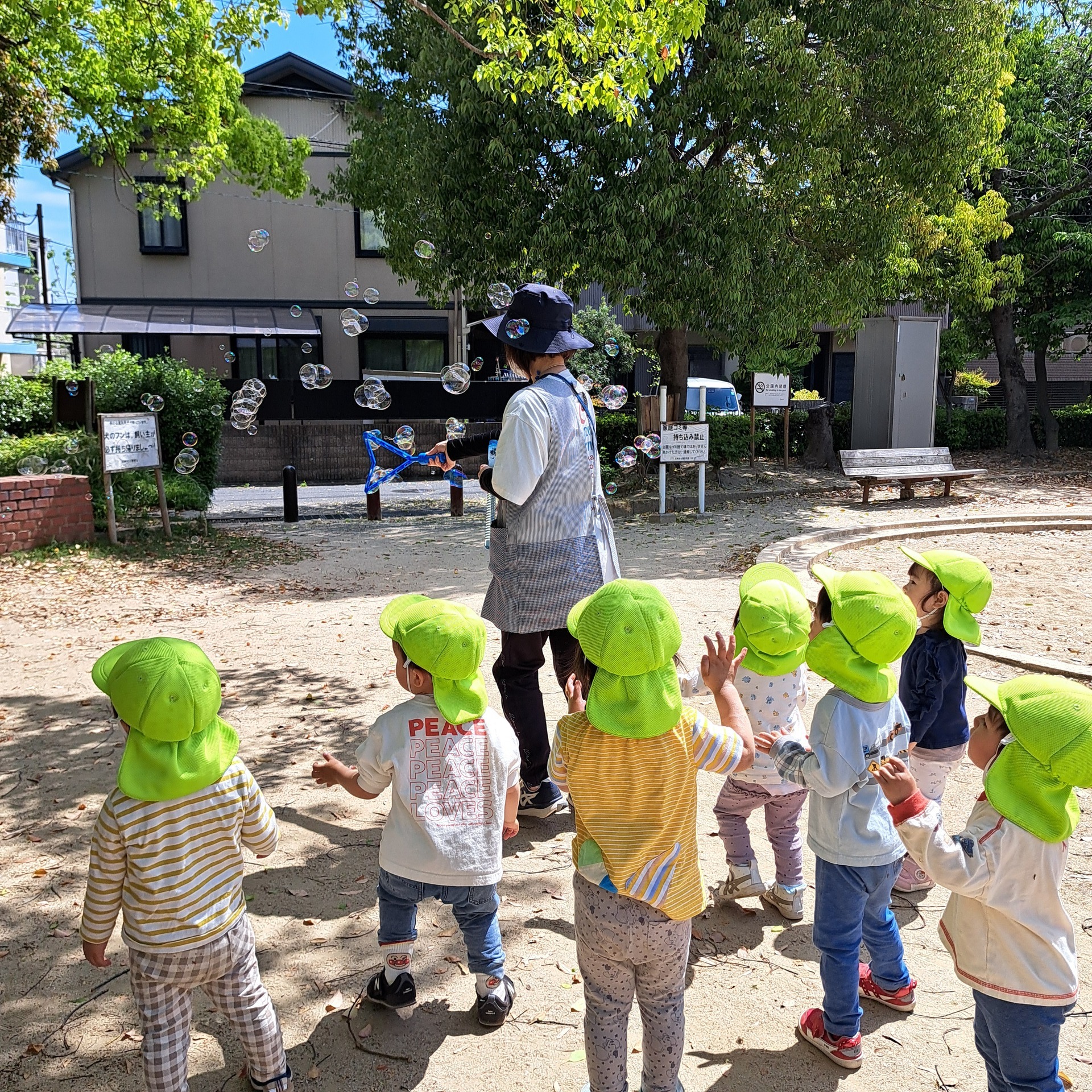 保護中: ある日のお散歩