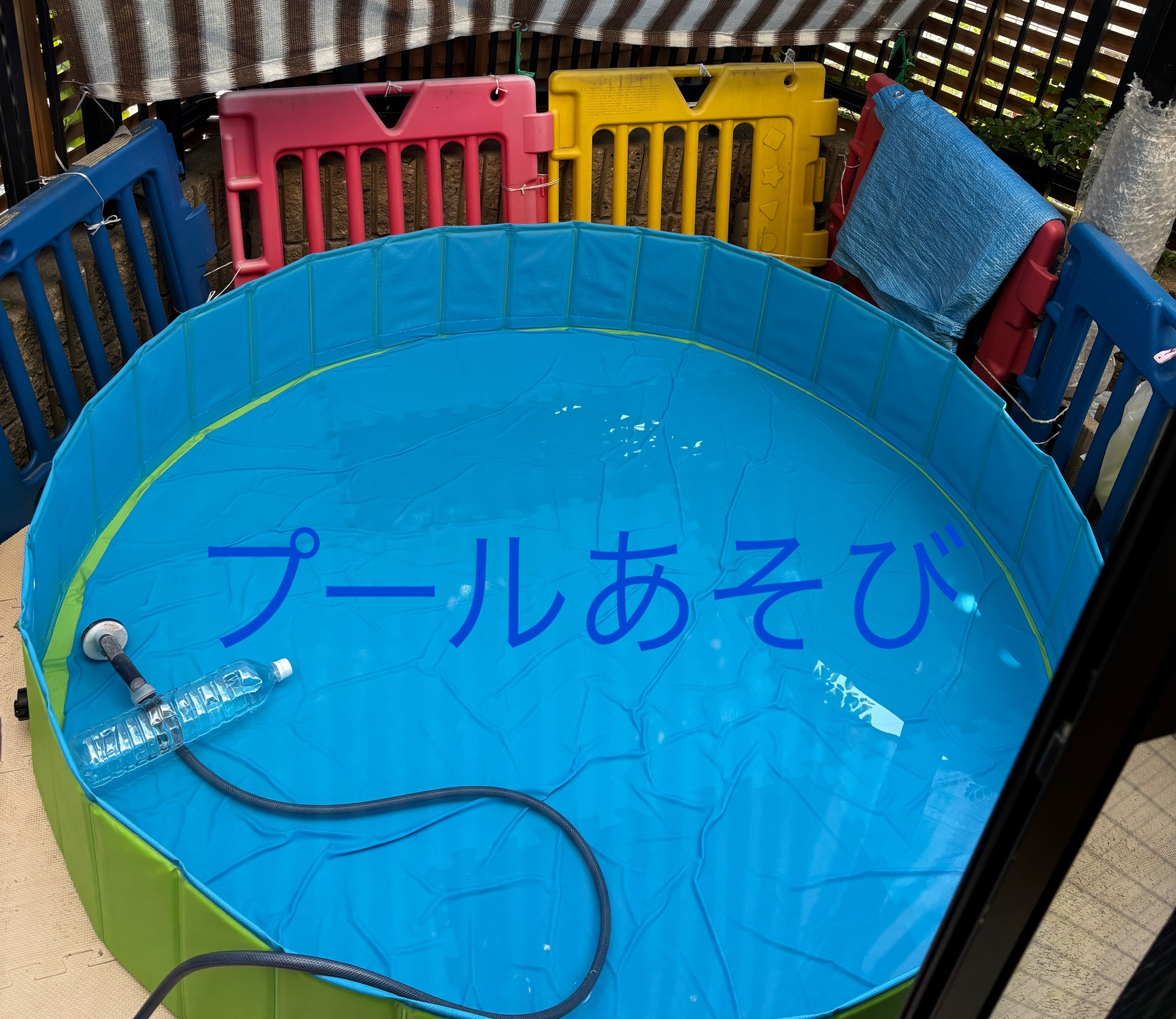 保護中: プールあそび