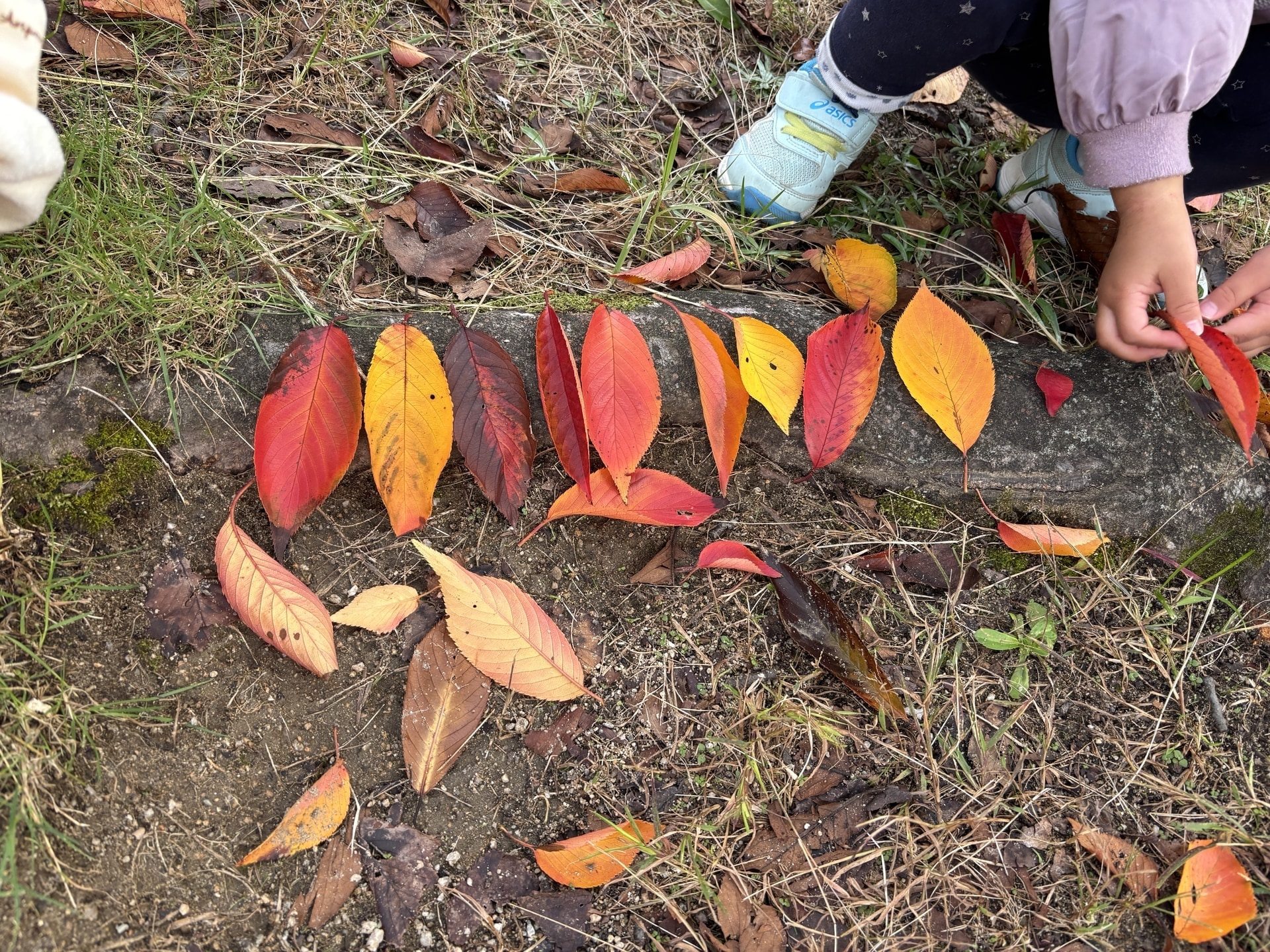 保護中: 上坂部西公園
